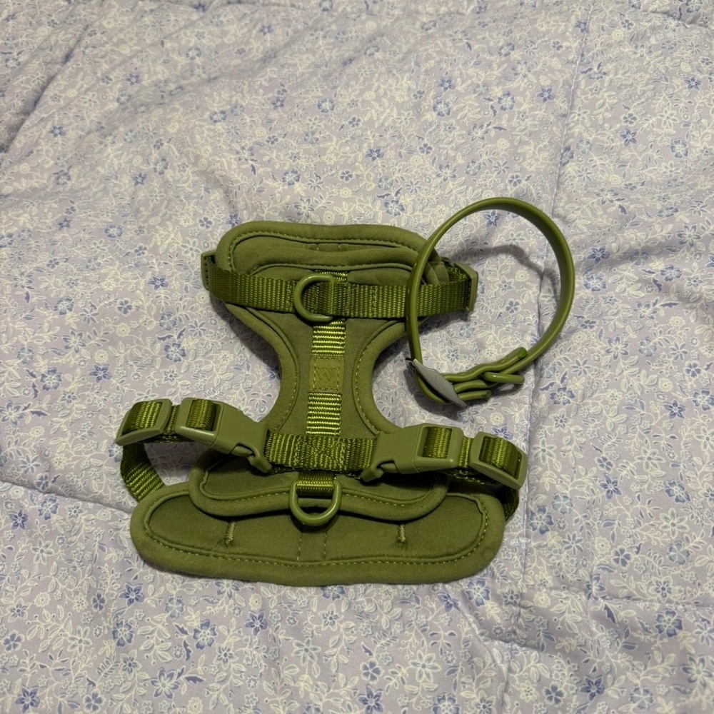 Wildone Harness and Collar